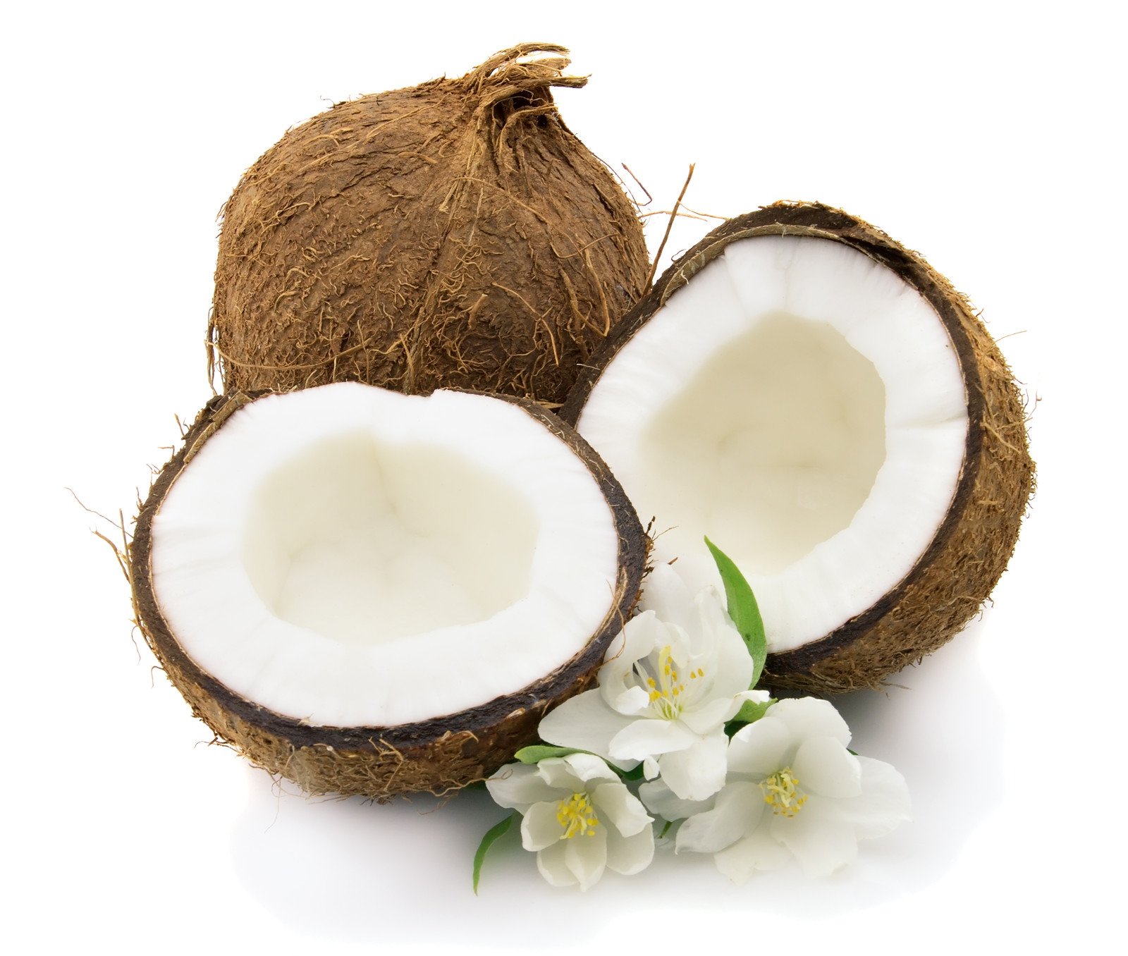 Kokosnussmilchpulver, Kokosmilch, Kokosnuss - Milchpulver, Kokosnussmilch sprühgetrocknet. PP - Eimer 12,5KG