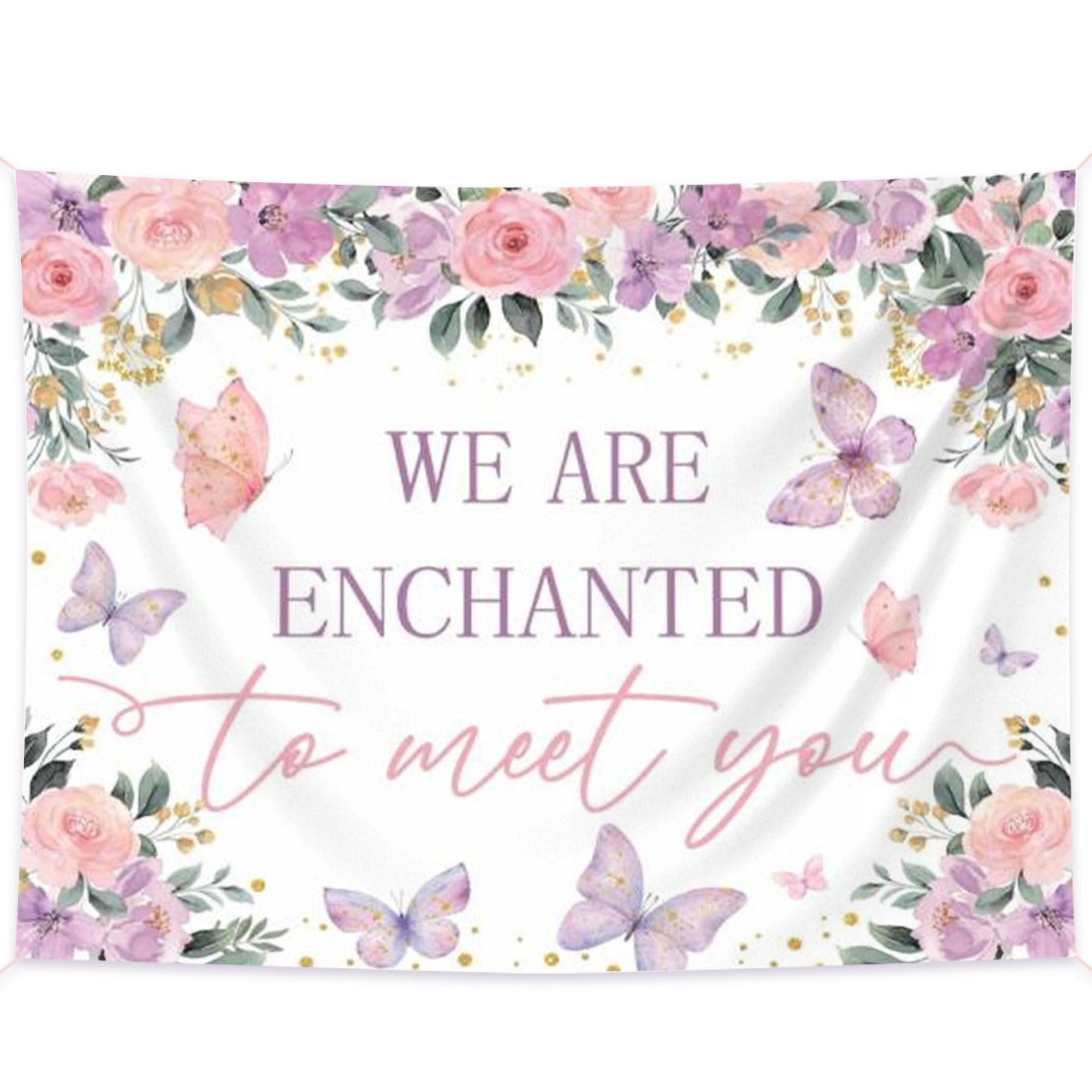 We Are Enchanted to Meet You Backdrop Balloons for Enchanted to Meet You Themed Baby Shower Gender Reveal Party Decorations Supplies