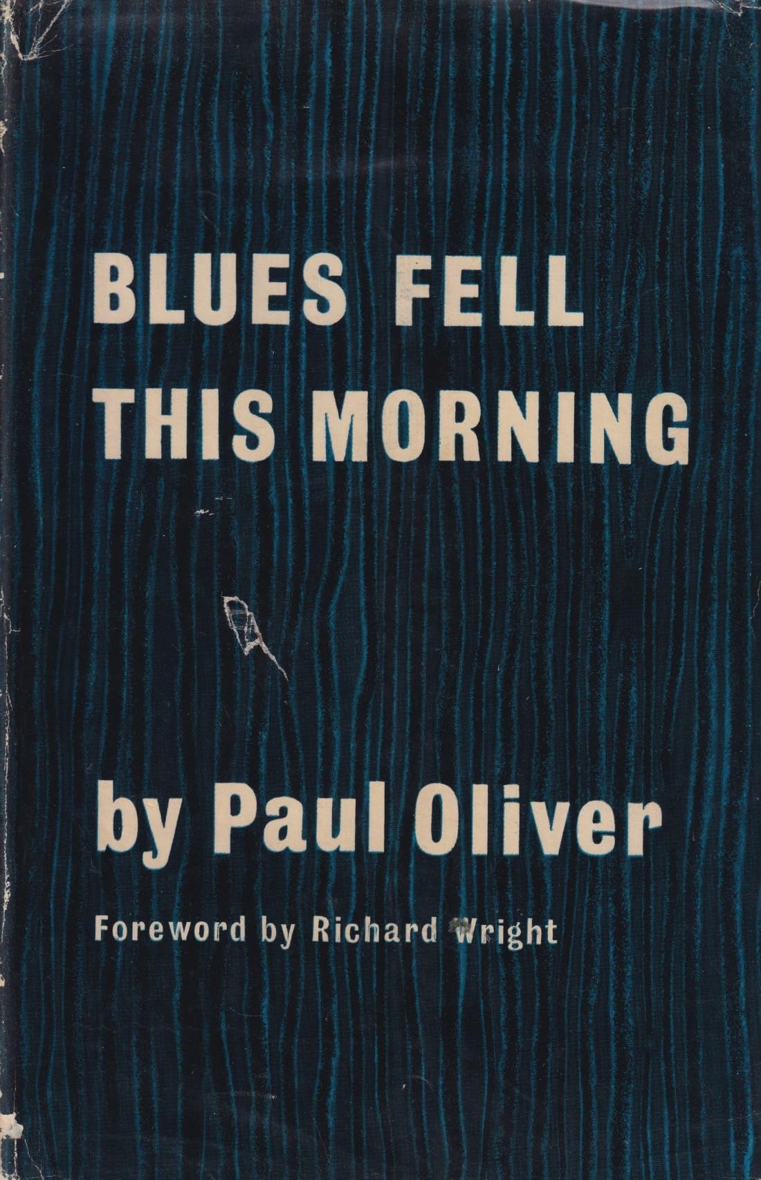 Blues Fell This Morning: Meaning in the Blues