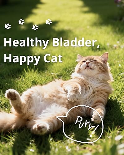 Miniatura 8 de Salud del tracto urinario felino, remedio para la infección urinaria del gato, arándano y suplemento de hierbas naturales para gatos para la salud
