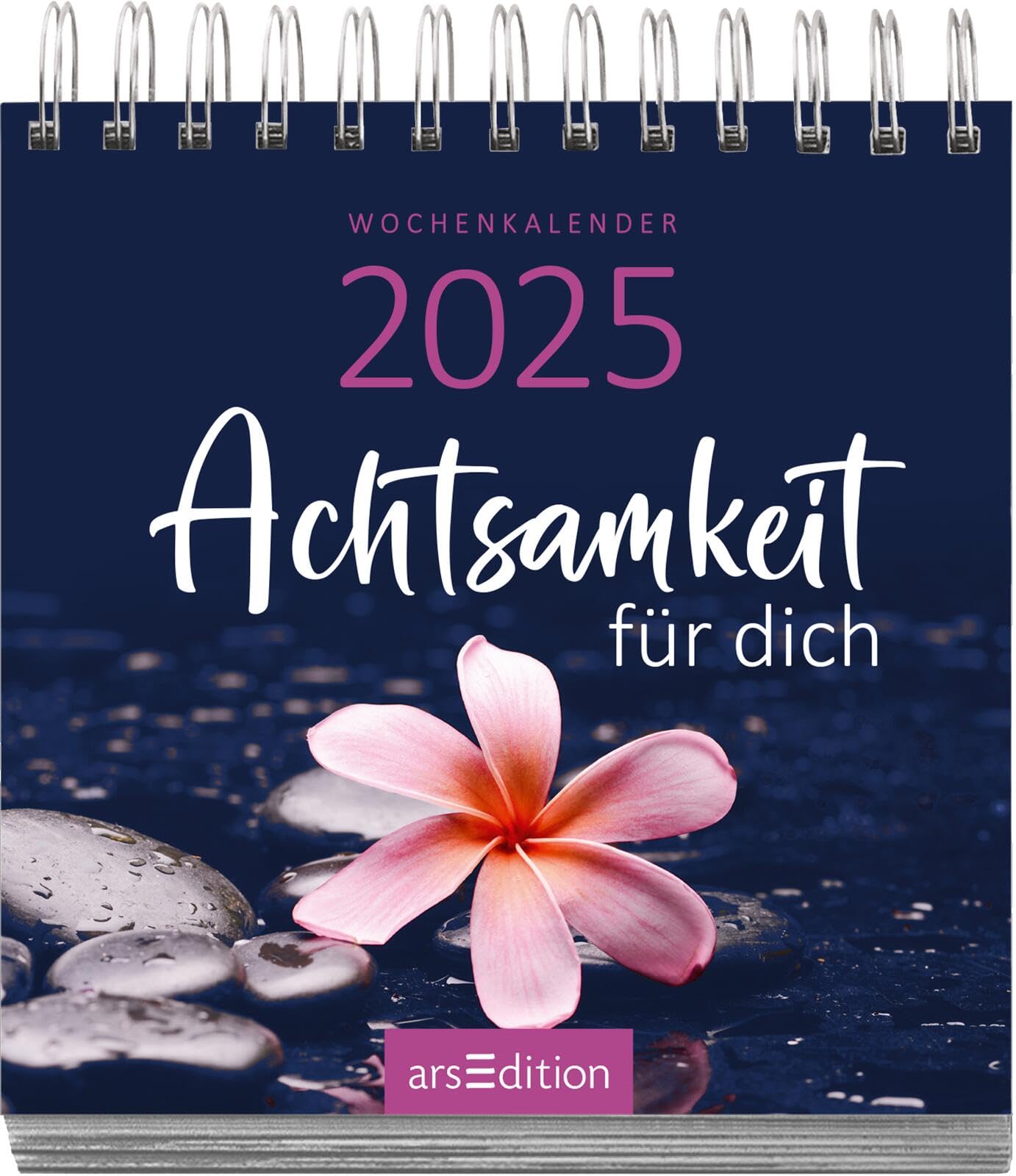 Display Mini-Wochenkalender 2025: Mit 12 x 5 Ex. | Kleine Tischkalender voller Inspirationen für jeden Tag