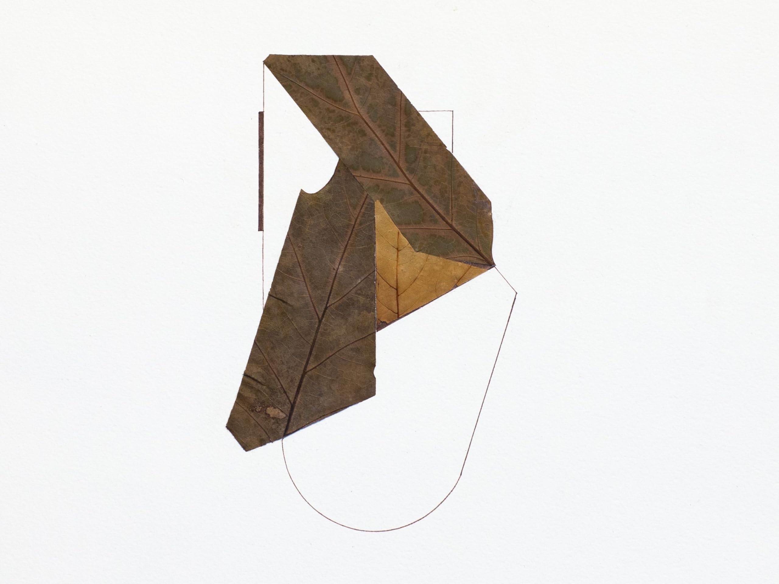 Oliver Patrice Weder