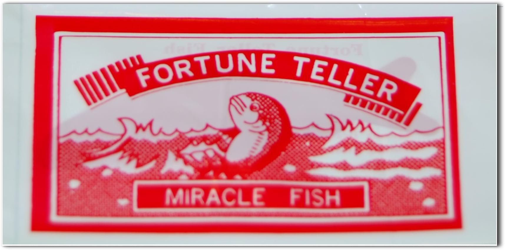 Magic Hotline Fortune Telling Fish Teaching Kit