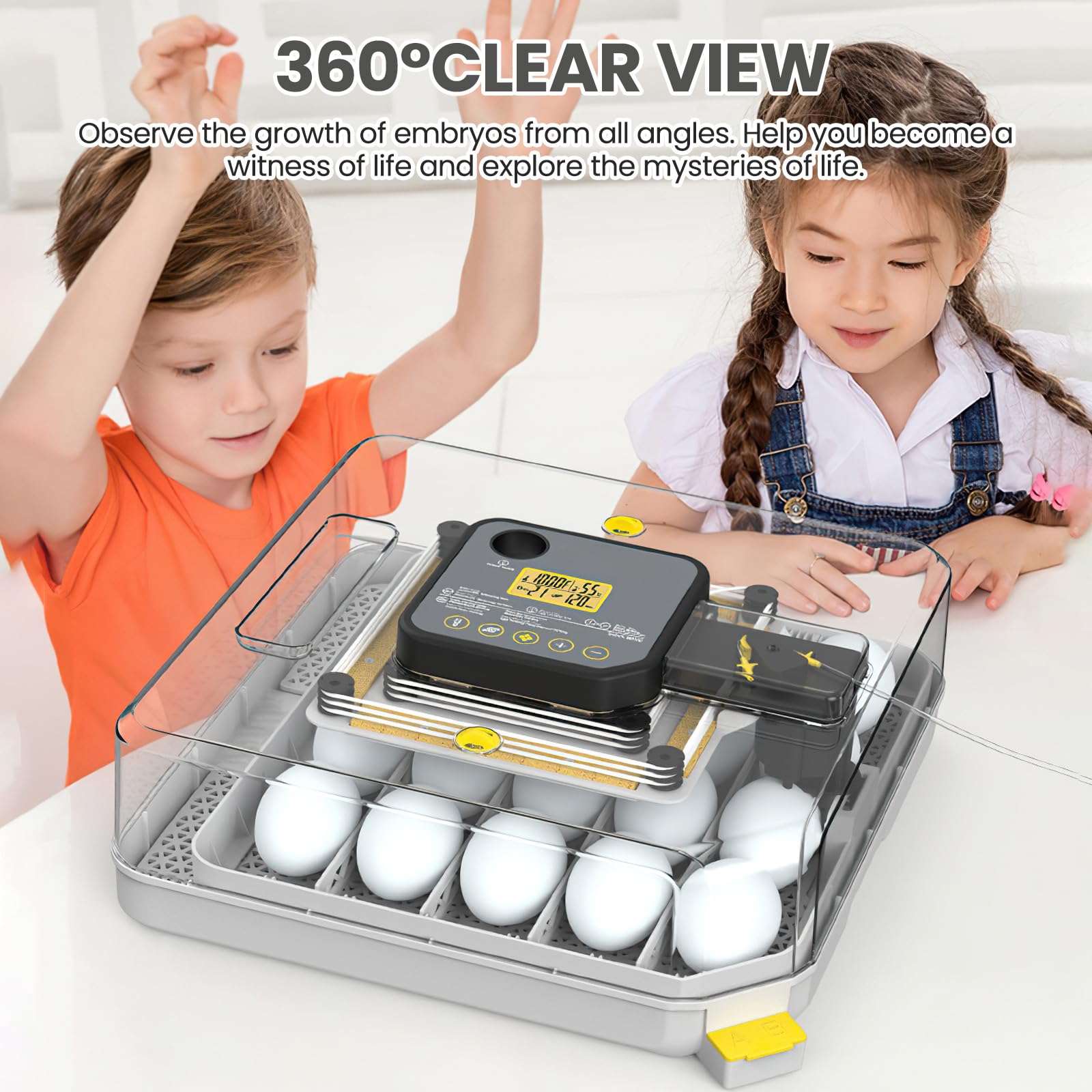 Couveuse Oeuf Automatique 48 Oeufs, Silencieux Incubateur Oeuf Automatique, Couveuses Pour œUfs De Volailles, Retournement Automatique Des Oeufs Et Humidification Automatique