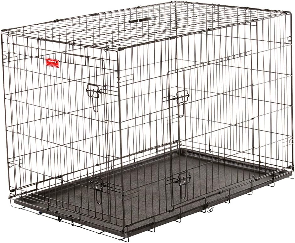 biggest kennel