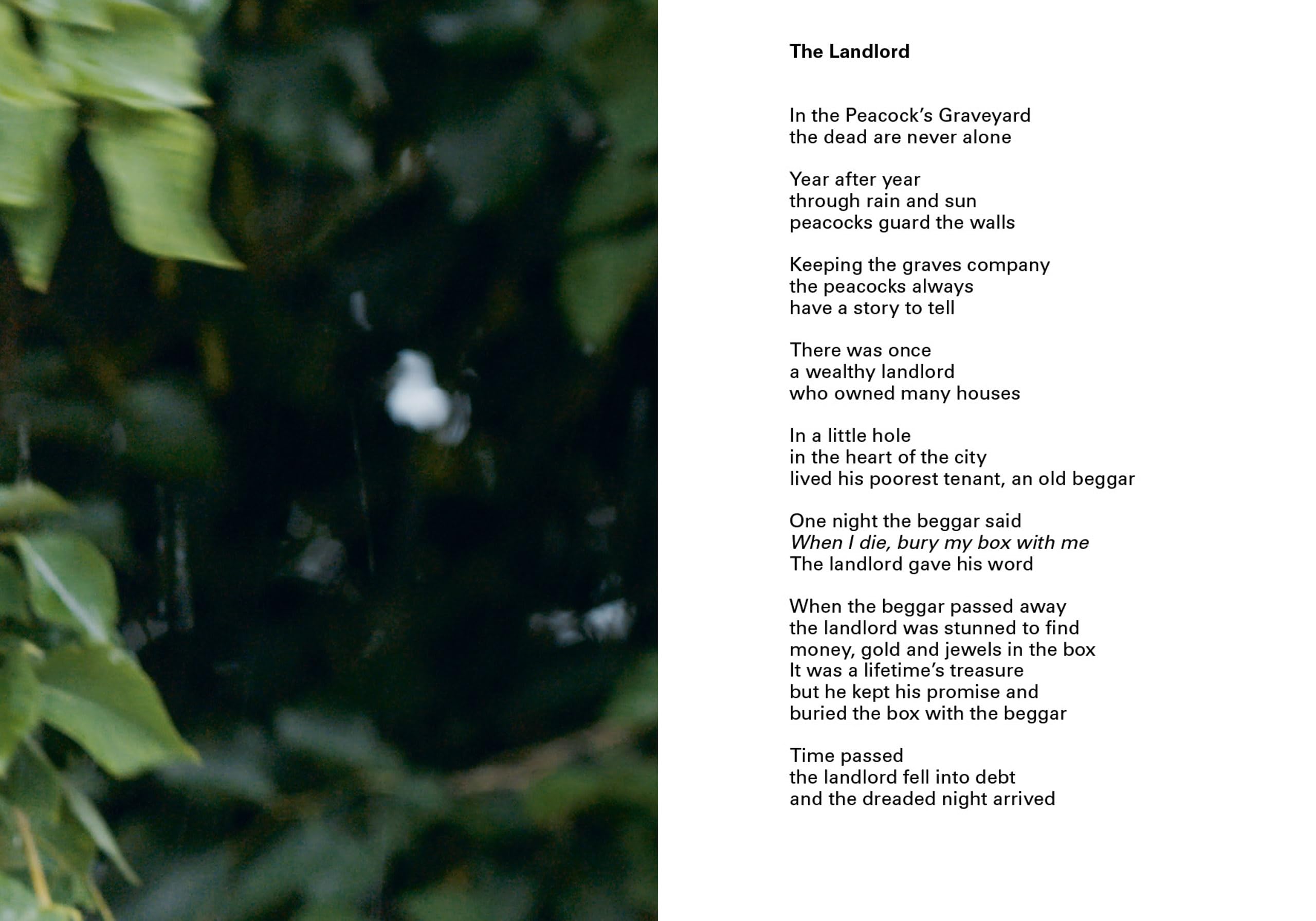 Amar Kanwar. Ediz. italiana, inglese e francese: The Peacock's Graveyard