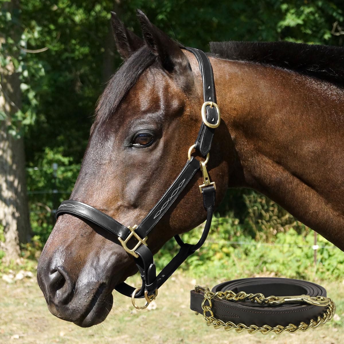 Country Pride Aurora Fancy Stitched Padded Leather Halter with Matching Lead
