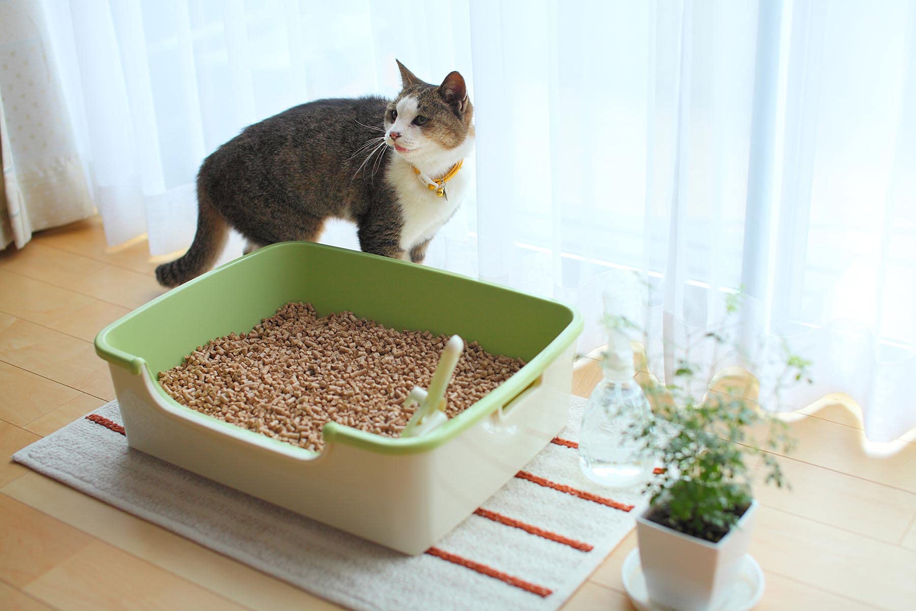 愛媛ペレキャット 猫砂木質ペレット 20ｋｇ（約33L）トイレ用 脱臭 抗菌 大…