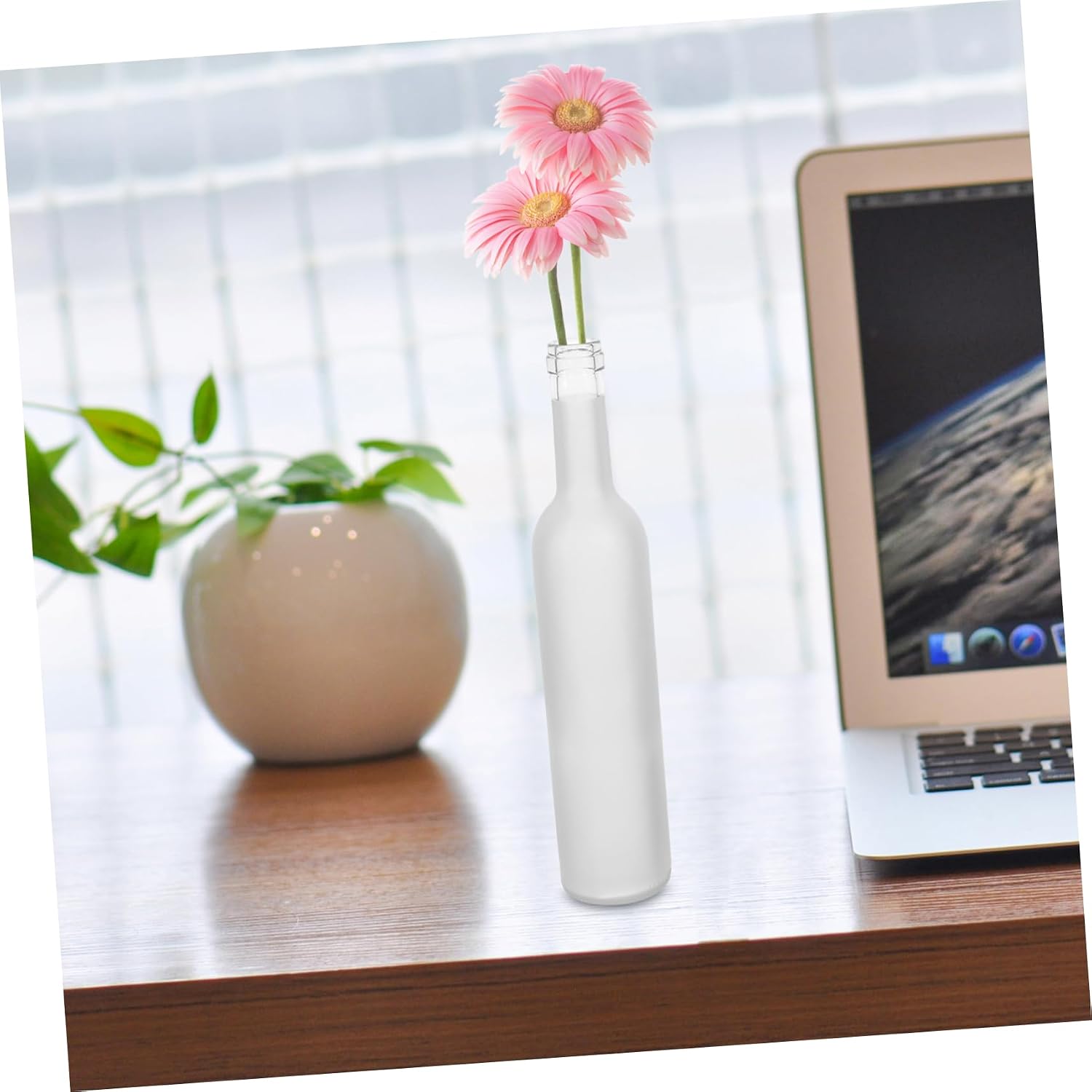 ORFOFE 2pcs Glass Wine Bottles Empty Bottles for Wine Juice and Decorative Use Crafts and Home Decor Safe Premium Quality Glass