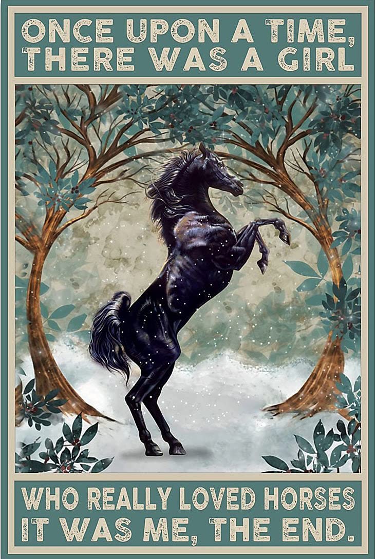 Biopracess Girls Metalpostera26705 Once Upon A Time There Was A Who Really Loved Horse It Was Me The End Decor Poster Wall Art Decor Metal Sign Poster 8X12 Inches