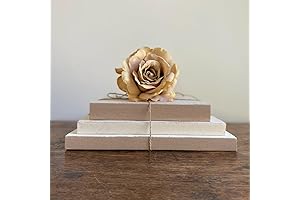 Farmhouse Book Stack - Beige and Cream