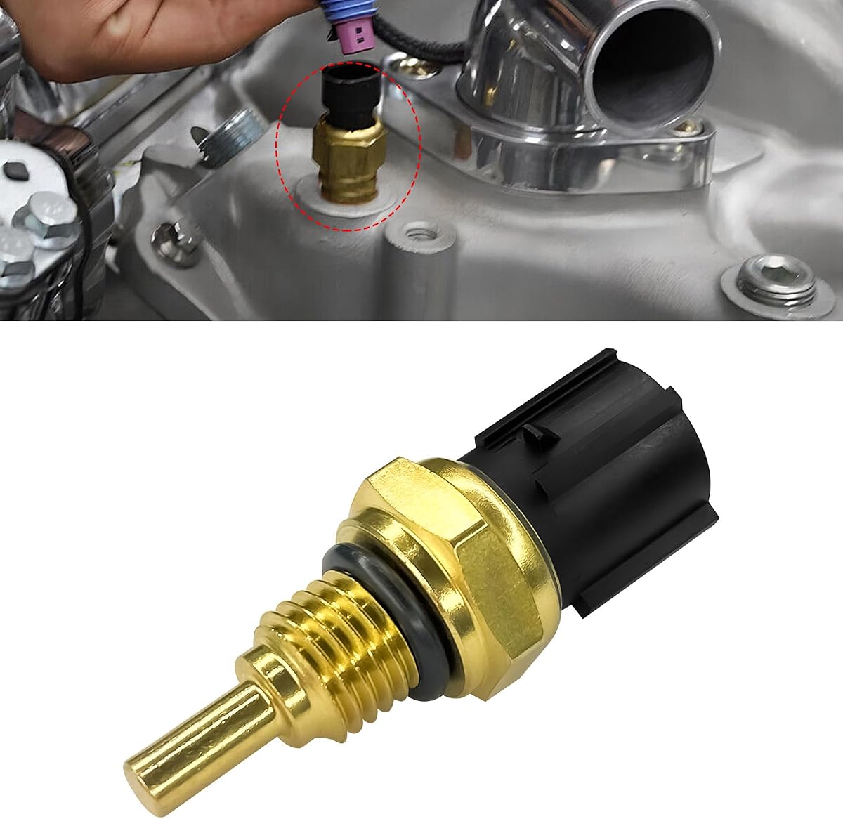 Sensor de temperatura del aceite 48160-PGJ-003, 1434050 Sensor de temperatura del refrigerante del motor con junta tórica VTM 4 Compatible con Honda Pilot 2003-2015 para Honda Ridgeline 2006-2014 (negro)