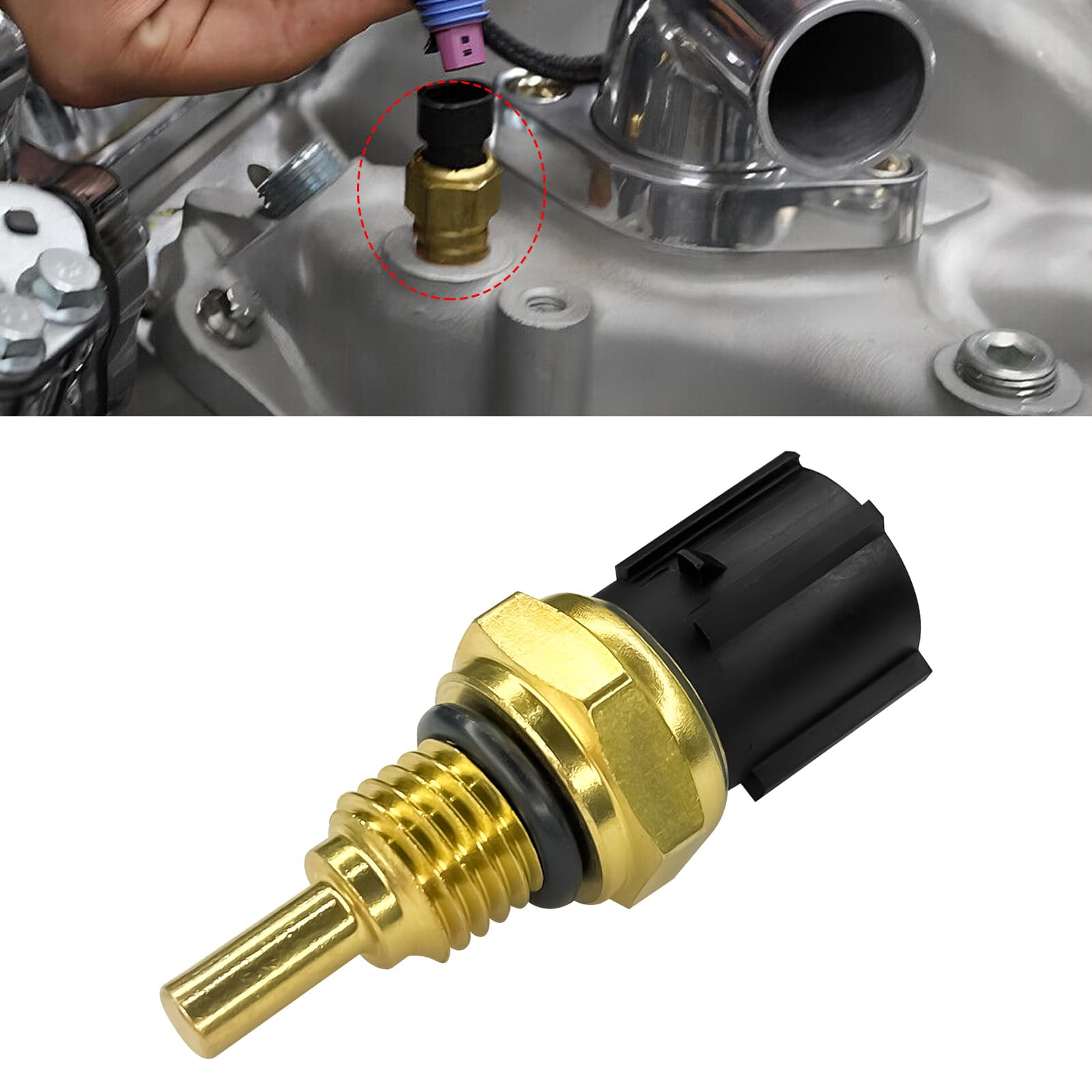 Oil Temperature Sensor 48160-PGJ-003, 1434050 Engine Coolant Temperature Sensor with O-Ring VTM 4 Compatible with Honda Pilot 2003-2015 for Honda Ridgeline 2006-2014 (Black)