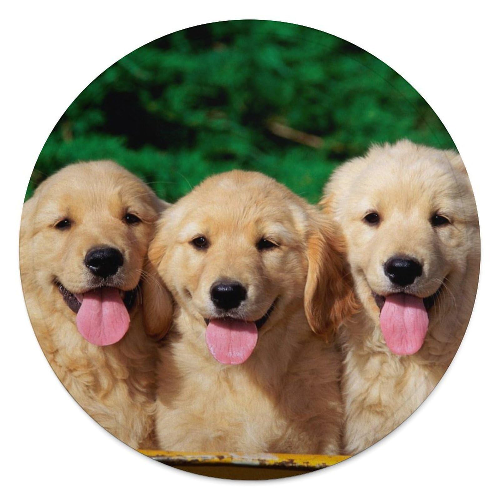 Couverture polaire ronde Golden Retriever contre le froid au bureau et sur le canapé