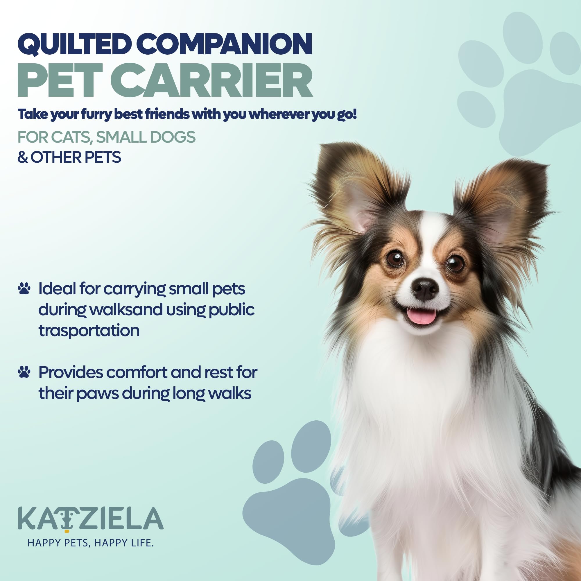 Katziela Deluxe, gesteppte, von Fluggesellschaften zugelassene Transportbox für Hunde und Katzen, für Flugzeugreisen, groß, Grau