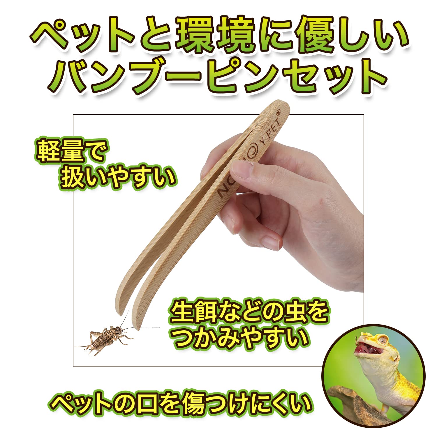 Amazon | feedbase 昆虫 生餌 活餌 給餌 バンブー 竹製