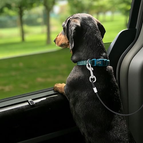 Miniatura 7 de Mogoko Cinturón de seguridad de automóvil para perro a prueba de mordidos, correa de acero inoxidable para mascotas, correa de cinturón de seguridad