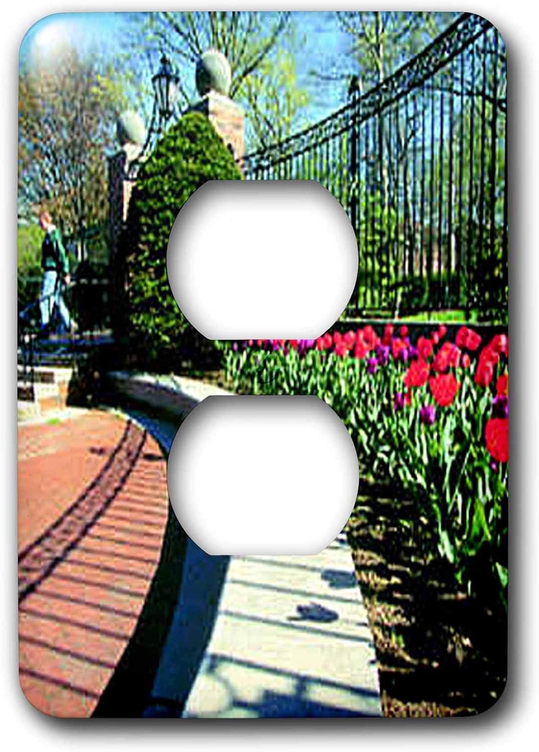3dRose lsp_811_6 Tulips 2 Plug Outlet Cover