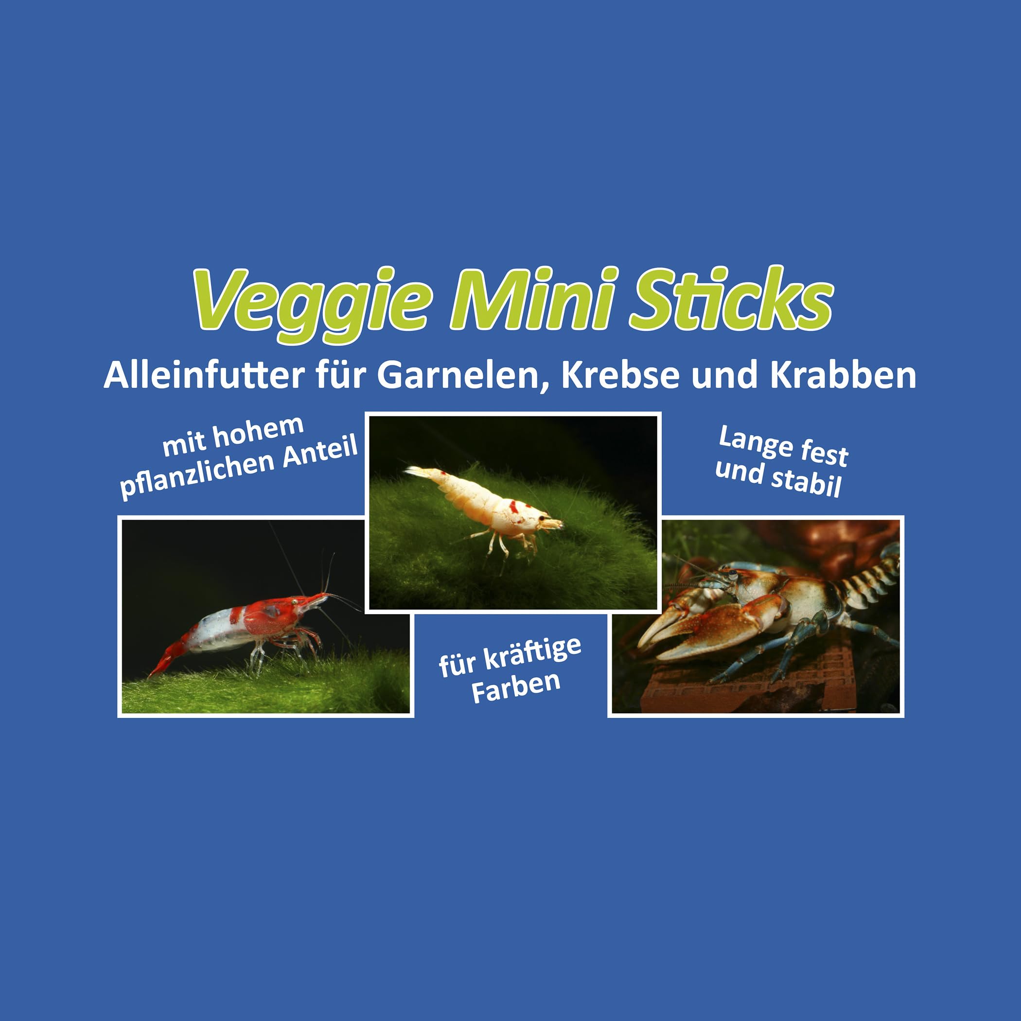 Veggie Mini Sticks Garnelenfutter 800 g, Garnelen- und Krebsfutter | Pflanzliches Alleinfutter für Garnelen, Zwerggarnelen, Krebse und Krabben; 2 mm Sticks für die regelmäßige Fütterung