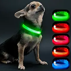 Visinite Coleiras iluminadas para cães pequenos, coleira de cachorro com LED recarregável, coleira de cachorro totalmente ajustável, coleiras para cães que brilham no escuro com luzes de cachorro para caminhadas noturnas, verde