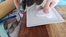 Review Image by Amber Kerr Amber Kerr