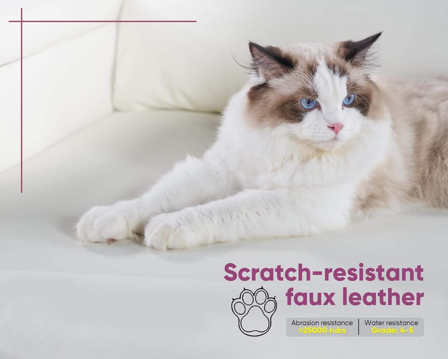 Close-up of AMERLIFE sectional couch fabric with a cat, showing scratch-resistant feature