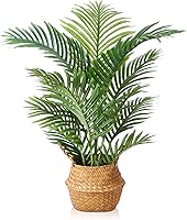 Vista 8 de LOMANTO Planta artificial de palmera Majesty, plantas artificiales de 2 pies para decoración del hogar, pequeños árboles artificiales en maceta