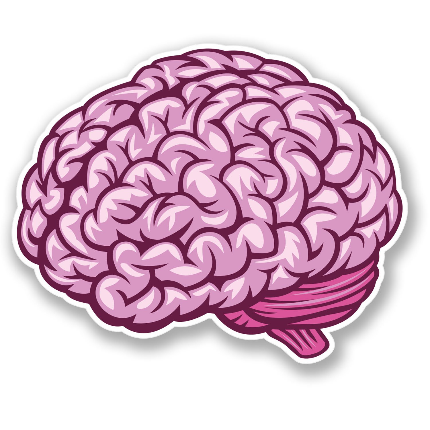 Destinationvinyl Multi 2 X Brain Vinyl Sticker Bike Laptop Car Helmet Decal Kids Skateboard Fun #4448 (10Cm Wide X 8Cm Tall)