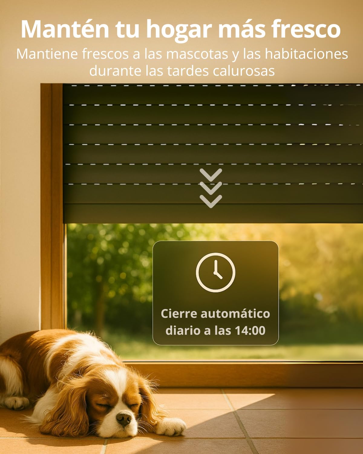 LoraTap Interruptor Persiana WiFi 2 Unidades: Apertura 0–100% con App | Apertura precisa sin parada manual – Grupos – Horarios – Control por voz – Sin hub – Conserva interruptor – AC 4 hilos 300W