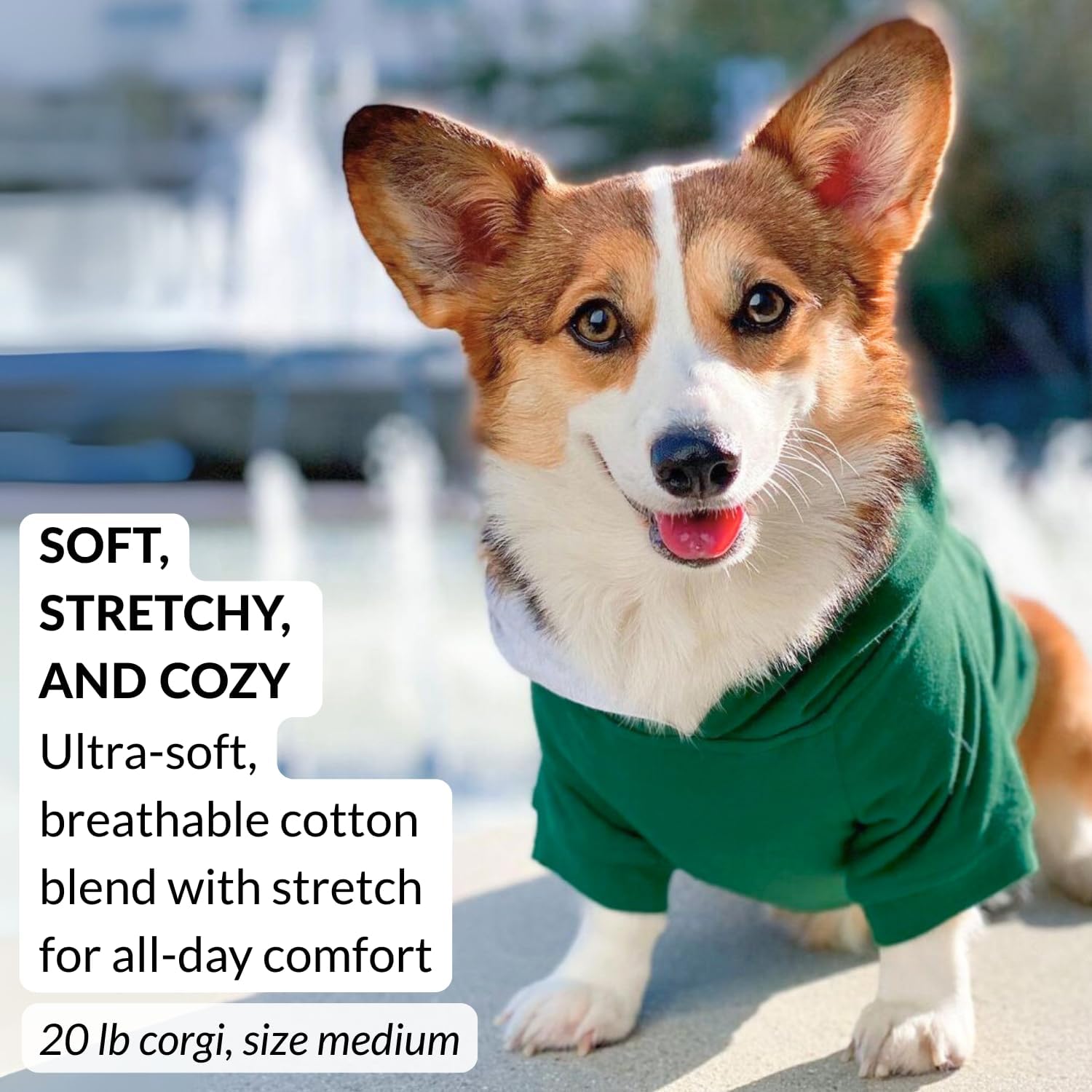DJANGO Dog Hoodie – Warm Winter Dog Sweater & Fully Lined, Cozy Sweatshirt for Small & Medium Dogs, Dachshunds – Soft, Stretchy, Puppy Hoodie with Leash Portal, Elastic Waistband – Forest Green, Small