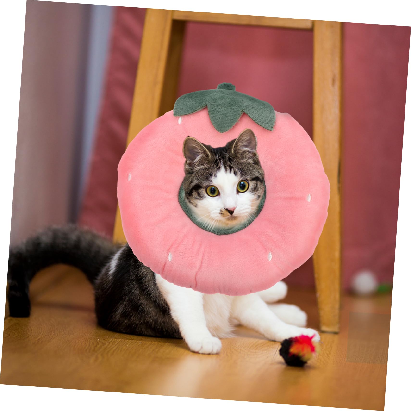 INOOMP 3pezzi Collare Elisabettiano Per Collare Protezione Post-operatoria Per Gattini