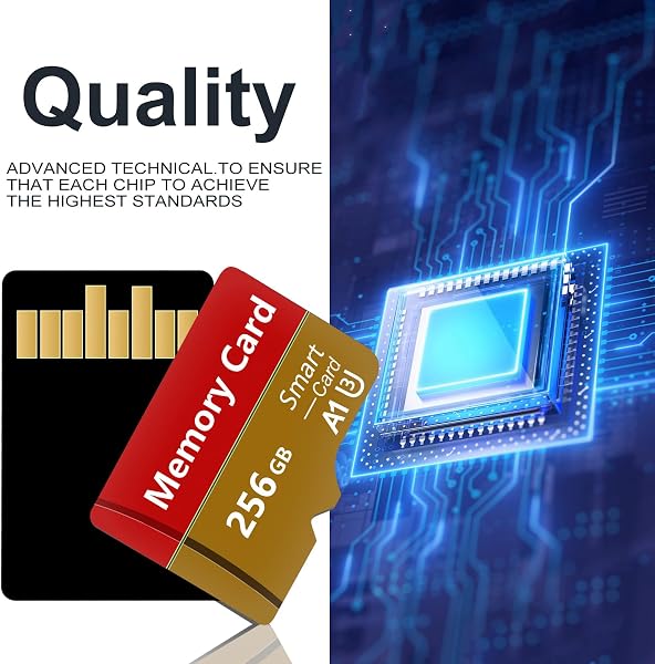 2 Pack Tarjeta De Memoria 256GB,Tarjeta De Memoria De Alta Velocidad con Adaptador SD, Tarjeta TF para Smartphone, Tablet y Camara - 2