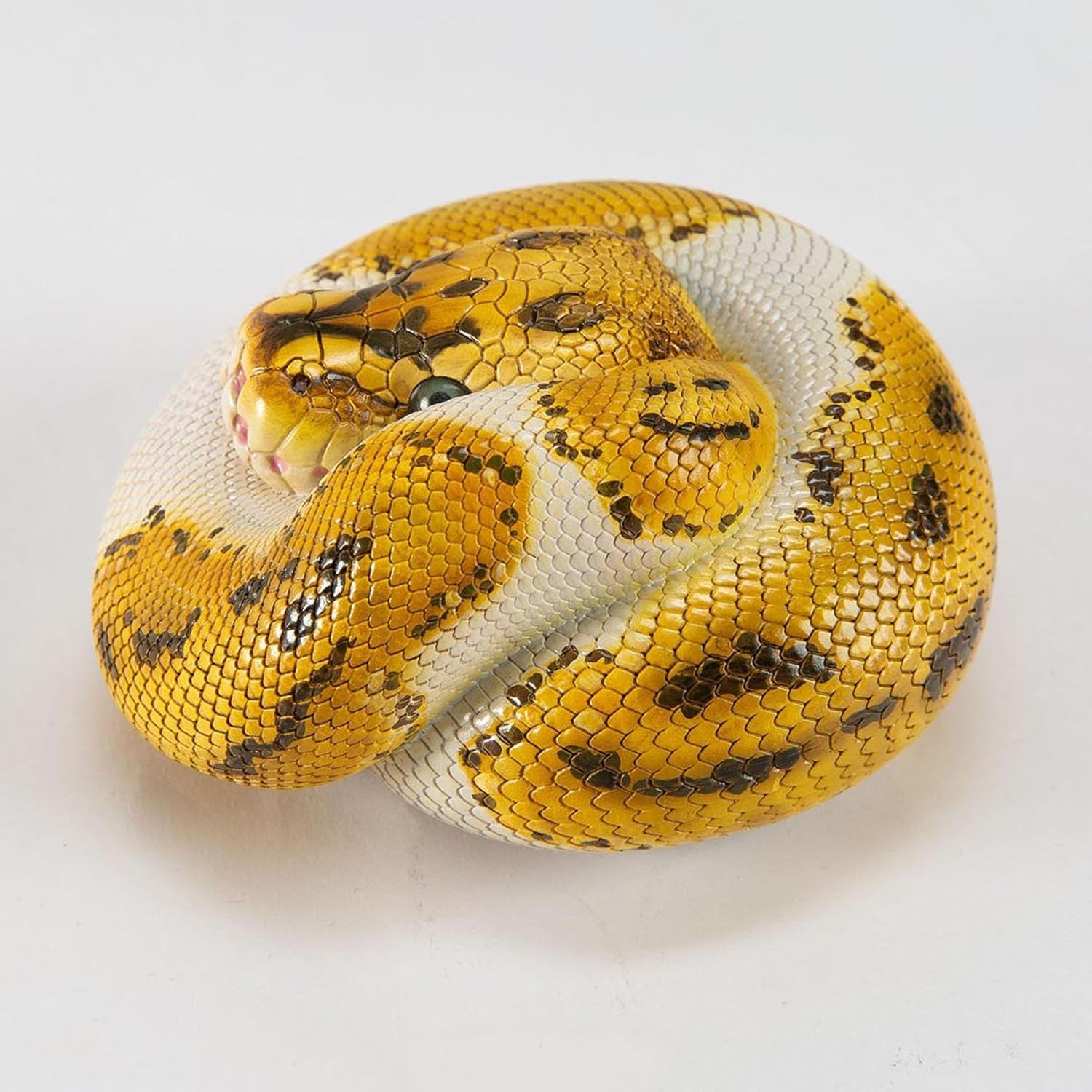 Animal Heavenly Body Plus Ball Python‌ Model Wildlife Collection Gift