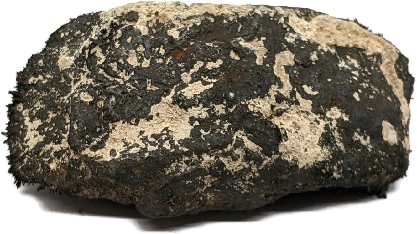 Large Naturally Magnetic Lodestone 1/2 to 3/4 Pound
