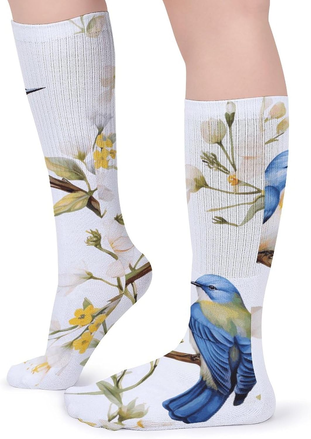 Breathable Crew Sock, Moisture Wicking, Athletic Calf Socks, Cozy | Watercolor Flowers And Birds Compression Socks for Women Men, Lightweight High Work Socks for Business, Casual