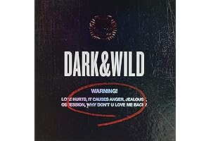 BTS Album DARK & WILD
