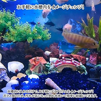 Amazon.co.jp: jwyndsq(おと) 水族館装飾石、0.2-0.3インチ（6-8