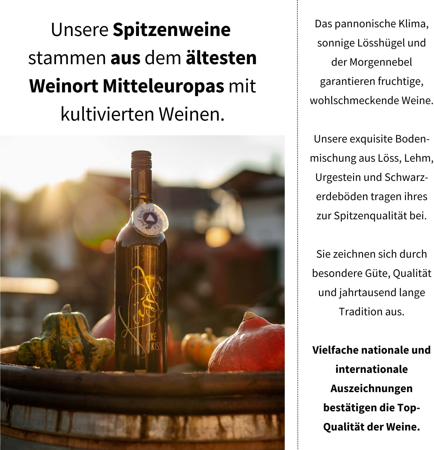 Neu! SINGENDER WEIN zum GEBURTSTAG - ein Cuvée weiß mit eigenem Geburtstags-Lied - im nachhaltigen Geschenkkarton - das ideale Weingeschenk!