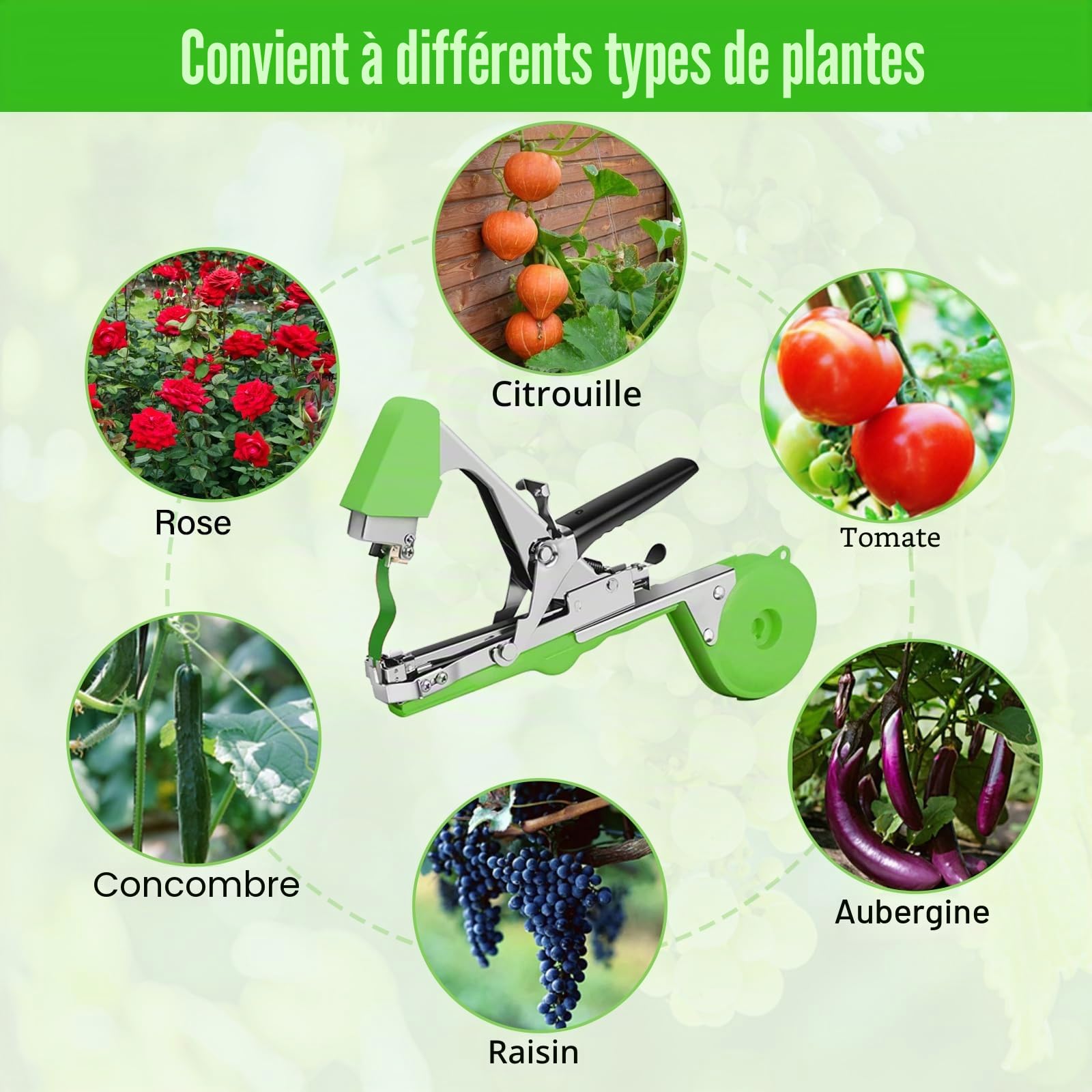 Machine À Taper Nouer Branches,Machine À Taper,Outil Agriculture Manuelle pour Attaches Plantes,Machine de Fixation de Plantes Ensemble d'outils pour Raisins, framboises, tomates et légumes de Vigne