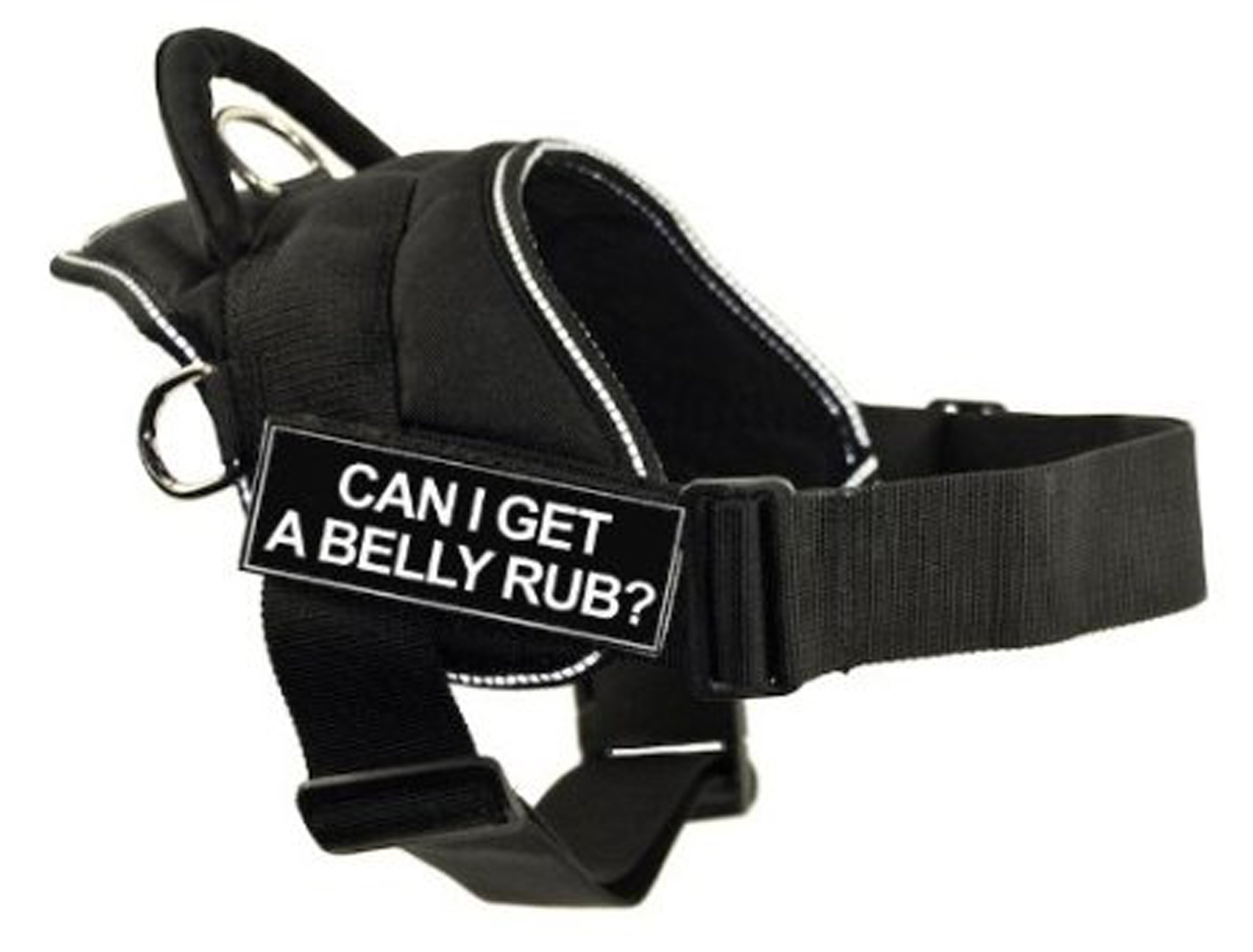 Harnais DT Fun XS noir pour petit chien de 50 à 58 cm