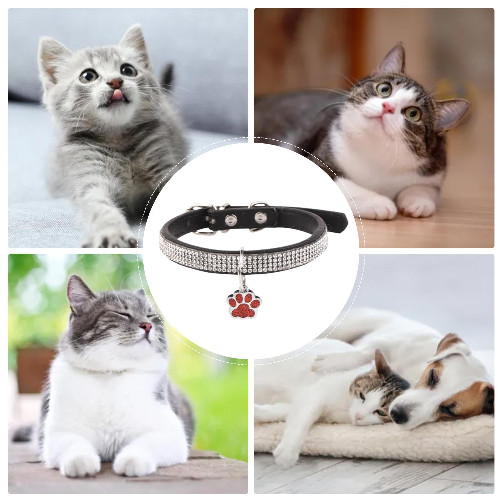 THAIN Strass Katzenhalsband Mit Glöckchen & Blume – Samt, Verstellbar, Abreißsicher (XS, Schwarz)