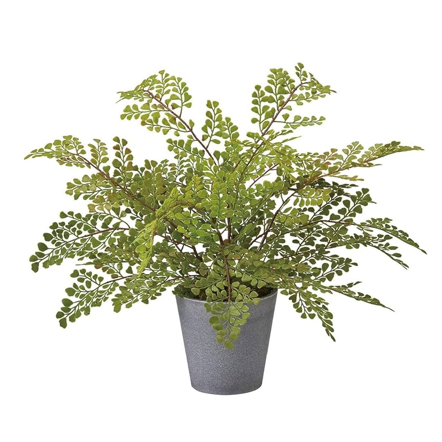 Amazon｜東京堂 フェイクグリーン アジアンタムポット アーティ