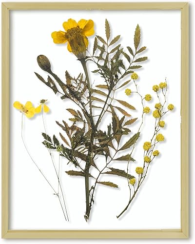 Miniatura 1 de Frametory, Marco de fotos flotante de 11 x 14 pulgadas, marco de fotos de metal dorado, cristal real, para pantallas de montaje en pared