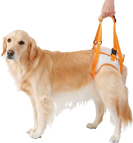 Miniatura 9 de Alfie Pet por Petoga Couture Arnés de elevación Kris de apoyo y rehabilitación Rear Support