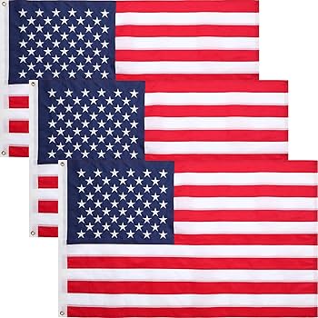 Amazon.co.jp: Tradder 3 x 5フィート アメリカ国旗 外側 高耐久