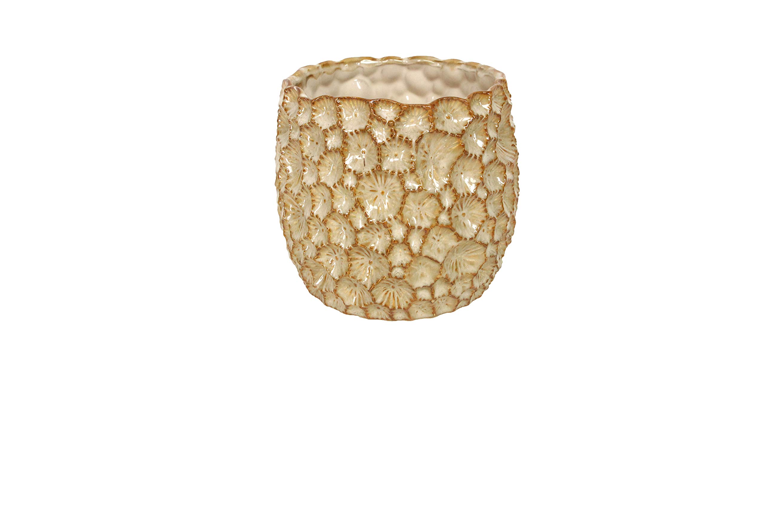 Gisela Graham Green Ceramic Crater Pot Cover, Large, Natural