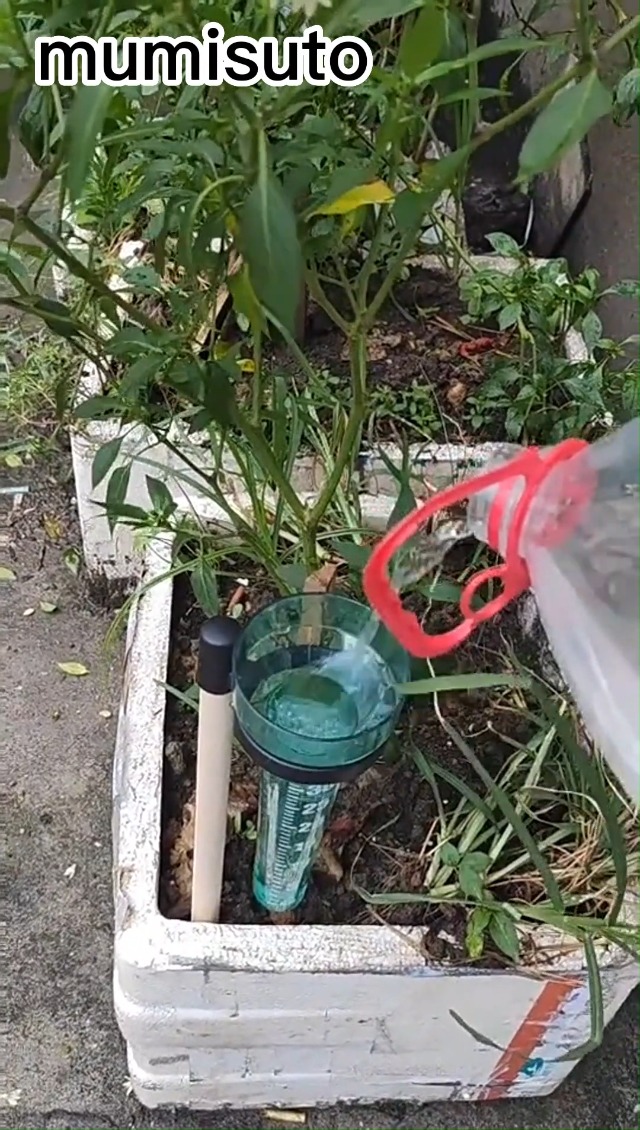 PLUVIOMETRO DI PRECISIONE Da Giardino Misuratore Pioggia Domestico EUR 8,70 - PicClick FR