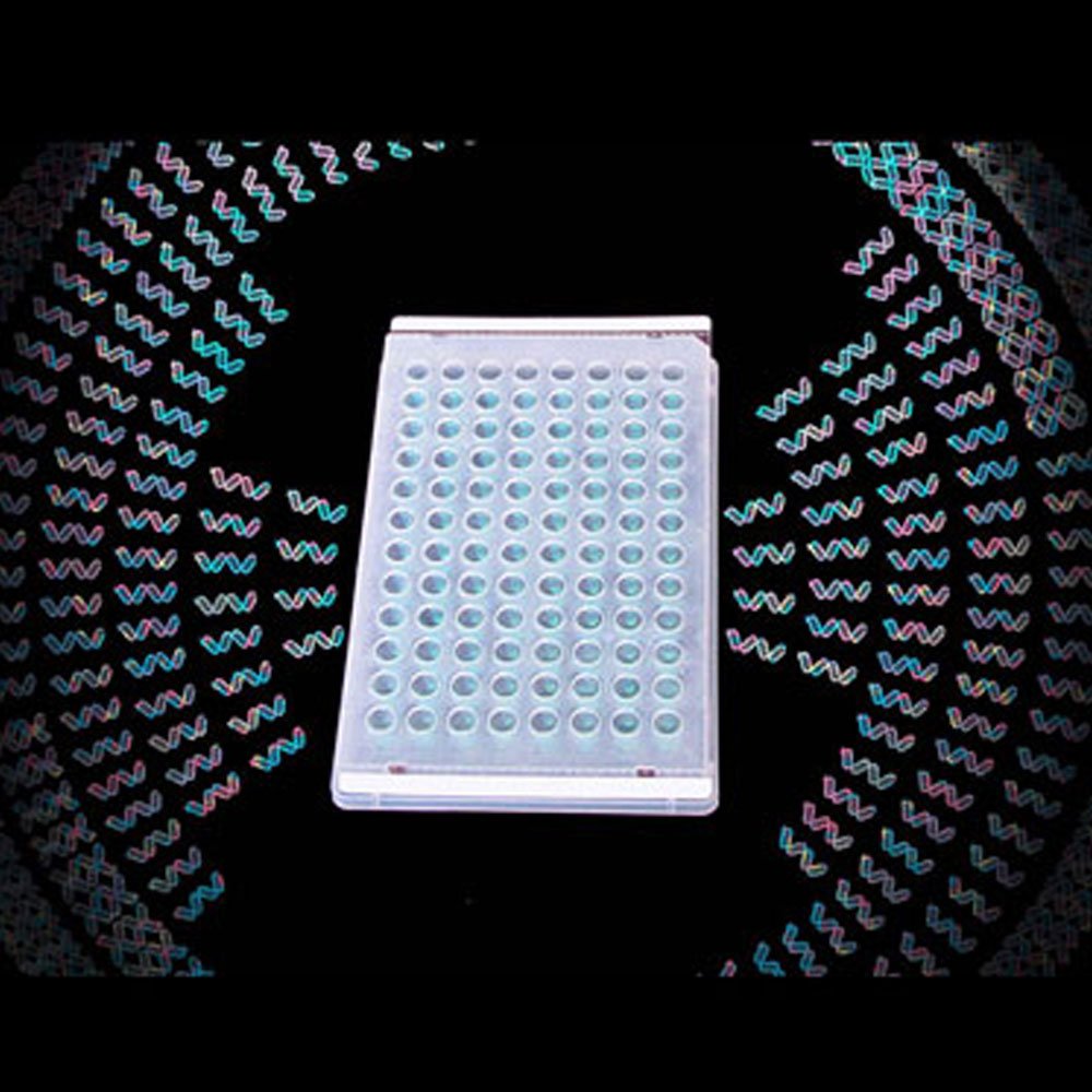 ThermalSeal® PCR Sealing Film, Sterile, 50µm, Polypropylene, 100 Films/Unit