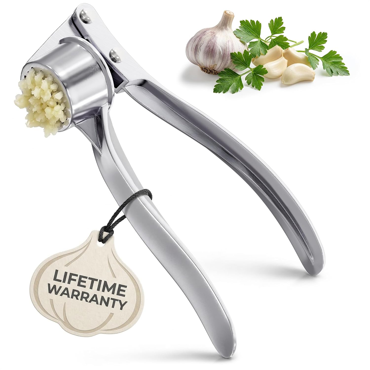 Metal Garlic Press with Comfortable Ergonomic Handle, Silver
