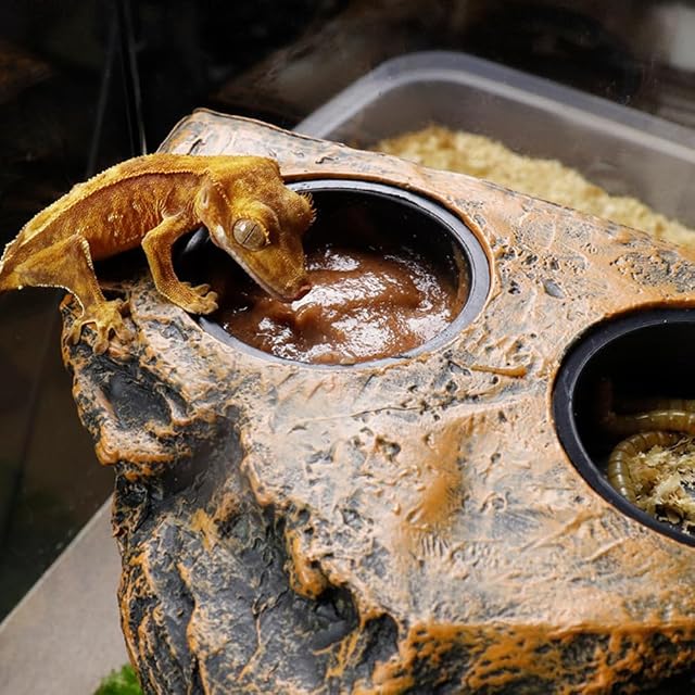 Foto 7 de 7 de MiOYOOW Repisa magnética para reptiles